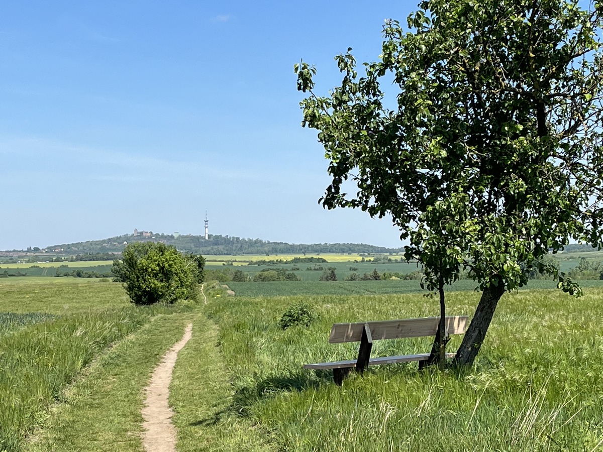 Lutherweg mit Bank und Petersberg